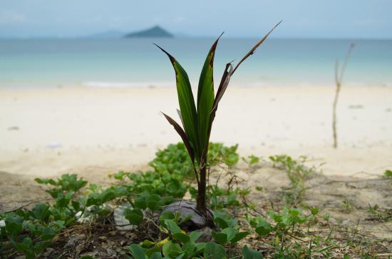 東南アジアに一ヶ月行ってきたんで写真うｐする_7.8463771692334E+56