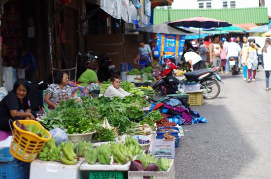 東南アジアに一ヶ月行ってきたんで写真うｐする_4.417117661946E+71