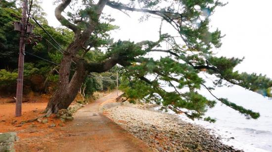 和歌山要塞島に行ってきたので写真をうpする_16383