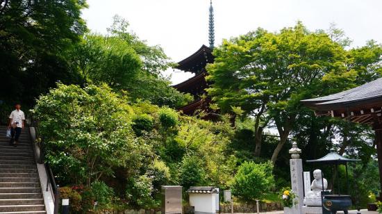 奈良明日香村と高取城跡に行ってきたので写真をうpする_7.7371252455336E+25