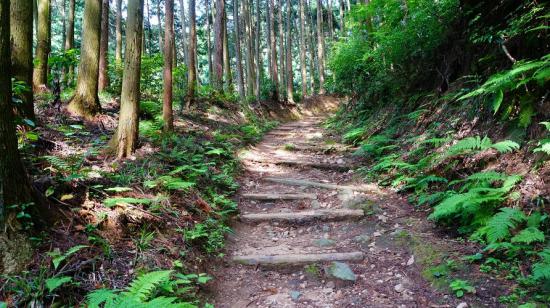 奈良明日香村と高取城跡に行ってきたので写真をうpする_4.2535295865117E+37