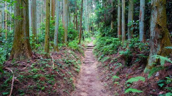 奈良明日香村と高取城跡に行ってきたので写真をうpする_8.711228593176E+40