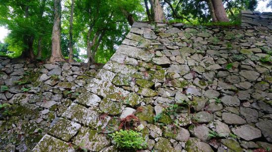 奈良明日香村と高取城跡に行ってきたので写真をうpする_3.5681192317649E+44