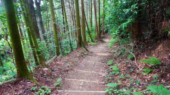 奈良明日香村と高取城跡に行ってきたので写真をうpする_4.5671926166591E+46