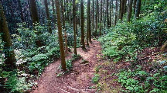 奈良明日香村と高取城跡に行ってきたので写真をうpする_9.1343852333181E+46