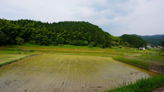 奈良明日香村と高取城跡に行ってきたので写真をうpする_1.8268770466636E+47