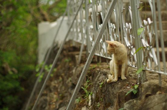 東南アジアに一ヶ月行ってきたんで写真うｐする_1.316403645857E+64