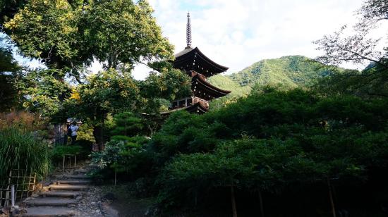 三つ峠山と浅間隠山に行ってきたので写真をうpする_1.7422457186352E+41