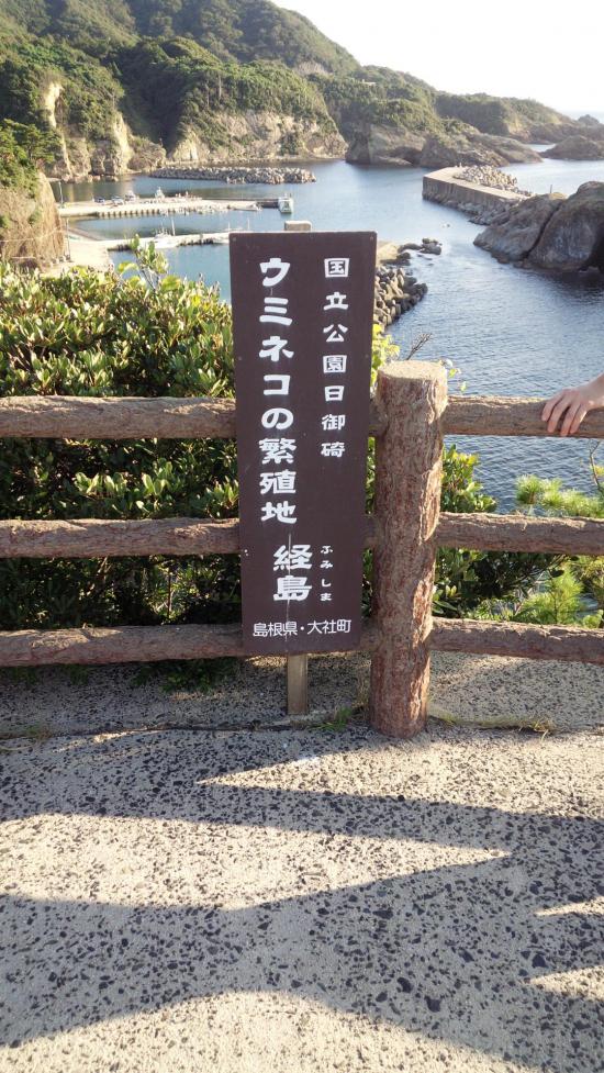 松江城にいるから写真撮る_268435455