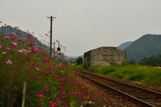 慌てずに正々堂々と秘境駅に行ってきたから写真うｐする_2.2397447421778E+102