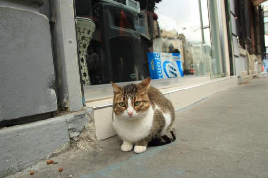 雨季のど真ん中にトルコ行ったら_4.1538374868279E+34