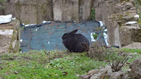 イタリア行ってきたから写真うぷするよ_6.1897001964269E+26