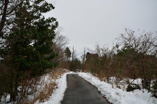 怯まずに正々堂々と秘境駅に行ってきたから写真うｐする_1.1307821214582E+74