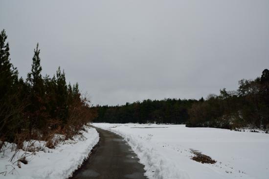 怯まずに正々堂々と秘境駅に行ってきたから写真うｐする_1.8526734277971E+78