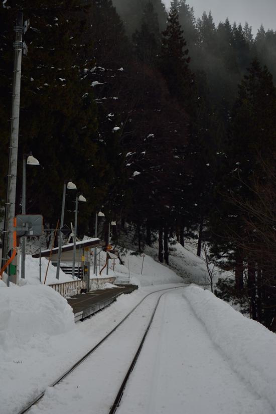 怯まずに正々堂々と秘境駅に行ってきたから写真うｐする_2.187250724783E+99