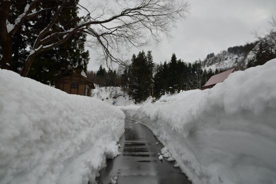 怯まずに正々堂々と秘境駅に行ってきたから写真うｐする_1.1198723710889E+102