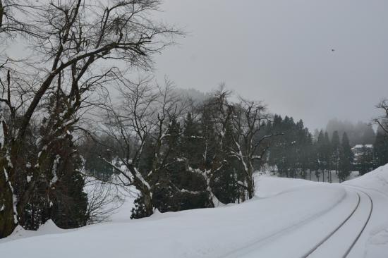 怯まずに正々堂々と秘境駅に行ってきたから写真うｐする_1.1742712913869E+108