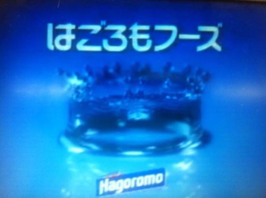 俺が小学生の時の思い出画像貼っていく。_3.0948500982135E+26