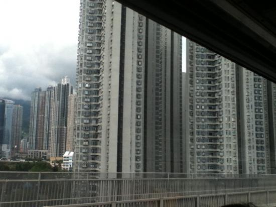 仕事多忙のところ香港へ行ったので写真うｐする_255