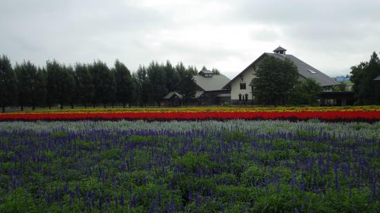 原付で日本一周したんで写真とか貼っていこうと思う_1.5692754338467E+57