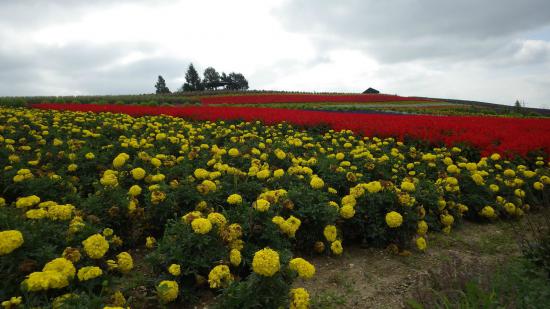 原付で日本一周したんで写真とか貼っていこうと思う_3.1385508676933E+57