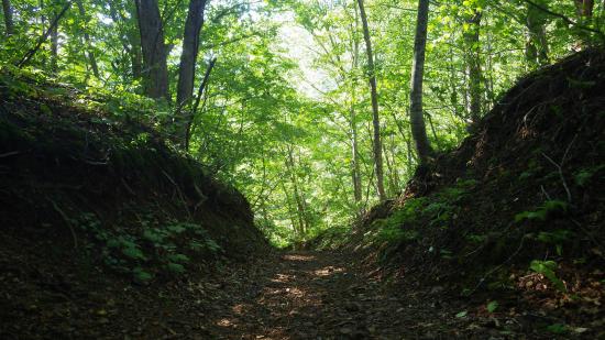 原付で日本一周したんで写真とか貼っていこうと思う_1.5541351137806E+85