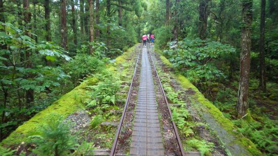 原付で日本一周したんで写真とか貼っていこうと思う_1.7573882009934E+159