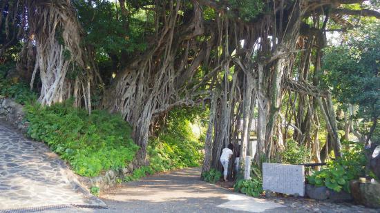 原付で日本一周したんで写真とか貼っていこうと思う_1.1793632577567E+167