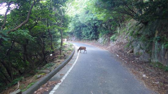 原付で日本一周したんで写真とか貼っていこうと思う_7.5479248496431E+168