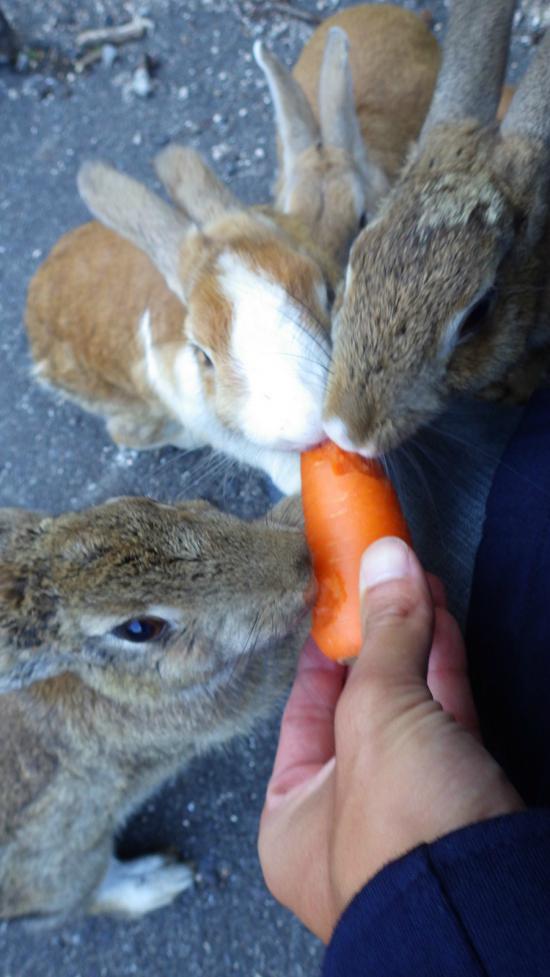 原付で日本一周したんで写真とか貼っていこうと思う_7.1597259796187E+249