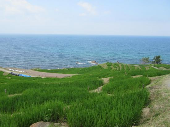 【金沢・能登】ものすごい勢いで北陸を一人旅してきた【富山】_2.8544953854119E+45