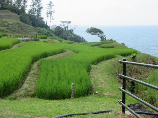 【金沢・能登】ものすごい勢いで北陸を一人旅してきた【富山】_5.7089907708238E+45