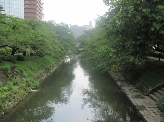 【金沢・能登】ものすごい勢いで北陸を一人旅してきた【富山】_1.3803492693581E+70