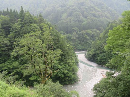 【金沢・能登】ものすごい勢いで北陸を一人旅してきた【富山】_1.8971375900642E+81