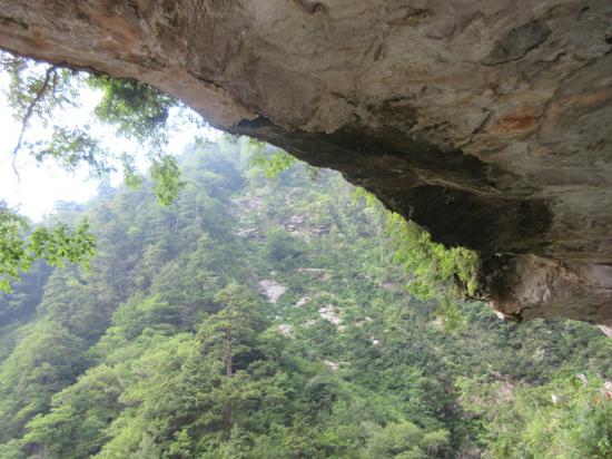 【金沢・能登】ものすごい勢いで北陸を一人旅してきた【富山】_3.8853377844515E+84