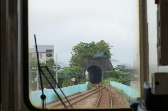 高知、徳島のローカル線に乗ってきたから写真うｐする_1.5474250491067E+26