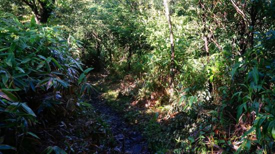 富士山とその周辺に行ってきたのでうpする_2.5961484292674E+33