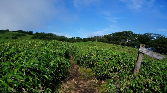 富士山とその周辺に行ってきたのでうpする_1.0633823966279E+37