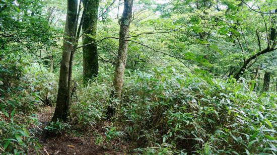 富士山とその周辺に行ってきたのでうpする_2.177807148294E+40