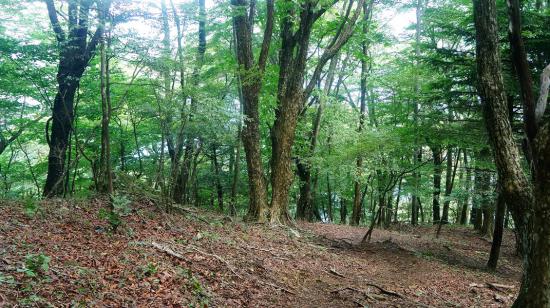 富士山とその周辺に行ってきたのでうpする_4.355614296588E+40