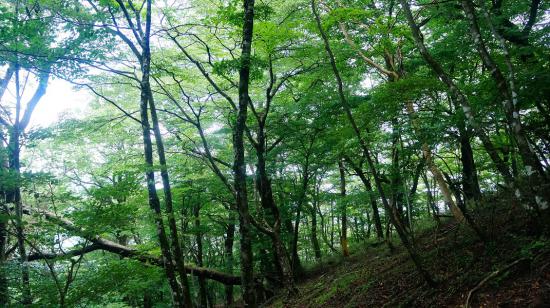 富士山とその周辺に行ってきたのでうpする_8.711228593176E+40