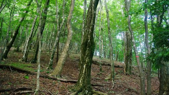 富士山とその周辺に行ってきたのでうpする_6.9689828745408E+41