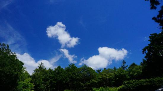 富士山とその周辺に行ってきたのでうpする_5.8460065493236E+48