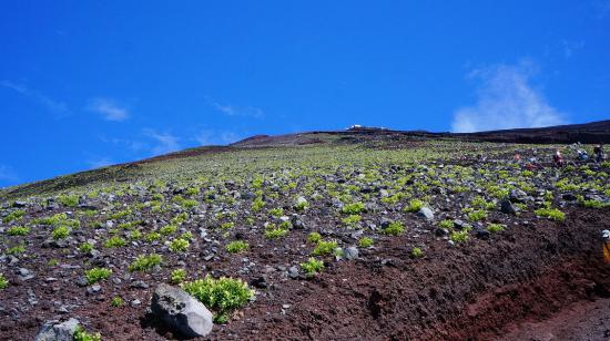 富士山とその周辺に行ってきたのでうpする_1.3479973333575E+67