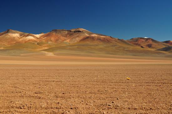 【画像】砂漠の風景を置いておきます_3