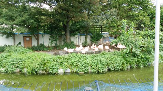 広島から富山までバイクでツーリングに行ったから写真貼ってく_4.6768052394589E+49