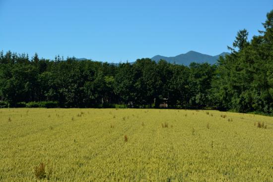 惜しまずに正々堂々と秘境駅に行ってきたから写真うｐする_4.0564819207303E+31