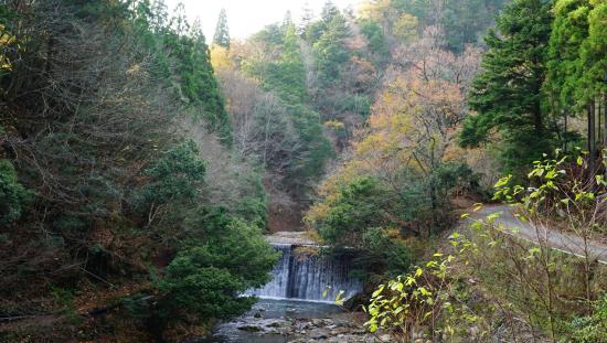 奥京都・芦生の森に行って来たのでうpする_8.5070591730235E+37