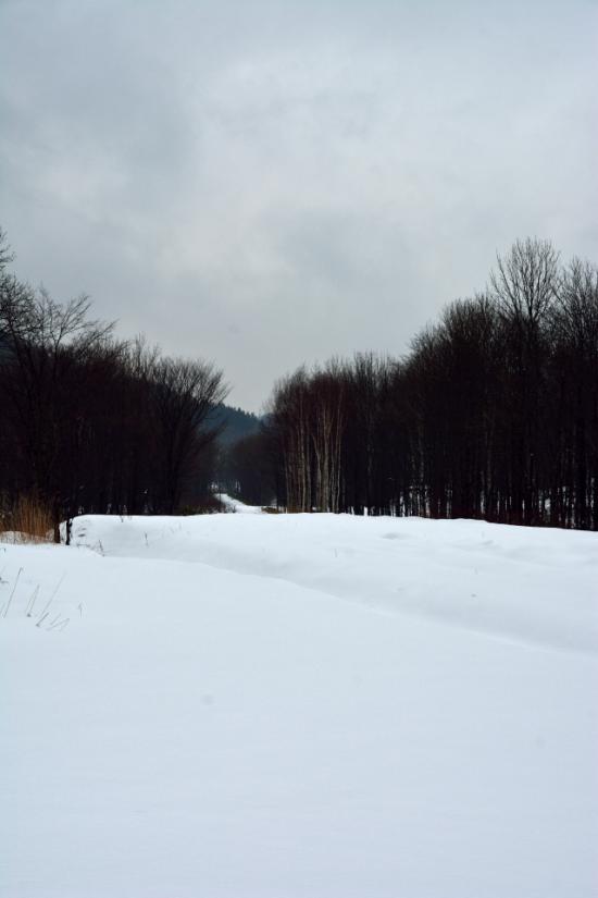 迷わずに正々堂々と秘境駅に行ってきたから写真うｐする_2.5353012004565E+30