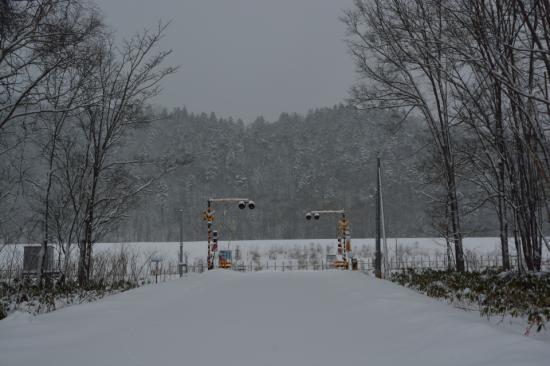 迷わずに正々堂々と秘境駅に行ってきたから写真うｐする_5.6539106072908E+73